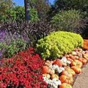 Cheekwood Gardens Fall Harvest Scene Photograph by Marian Bell - Fine Art America