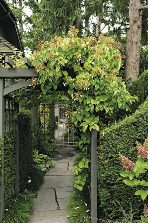 Plants for Shady Passageways - Fine Gardening