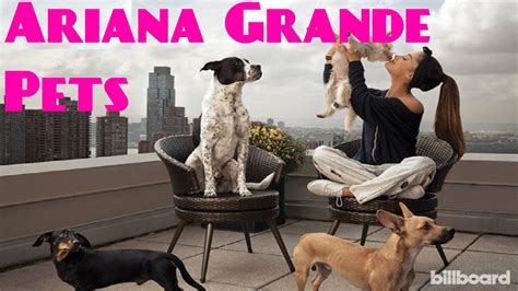 Ariana Grande Dogs Names