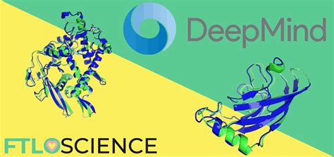 Solving a 50-Year-Old Puzzle: AlphaFold 2 and Protein Folding | FTLOScience