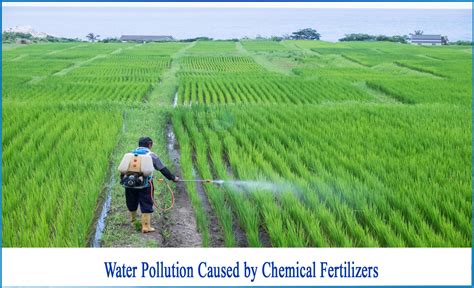 How are the Chemical Fertilizers Harmful - Netsol Water