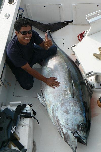 Bigeye Tuna Trips in Galapagos Islands - Ecuagringo