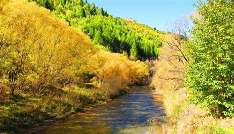 Arrowtown Autumn Festival