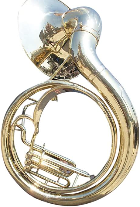 The Different Types Of Tubas – ScionAv