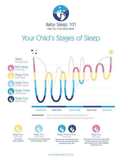 Sleeping through the night | Baby sleep cycles, Baby sleep, Sleep cycle chart