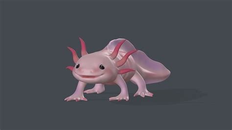 Axolotl 3D model 3D printable | CGTrader