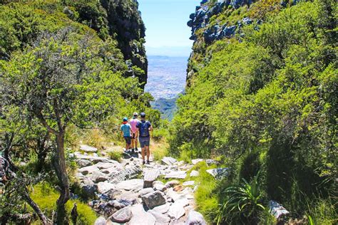 Platteklip Gorge hike on Table Mountain - STINGY NOMADS