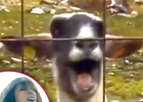 You Can’t Get Taylor’s Goat! Swift Shares ‘Trouble’ Parody Poking Fun At Her