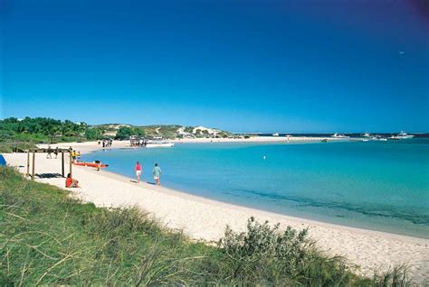 6 Things to Know about the Whale Sharks at Ningaloo Reef