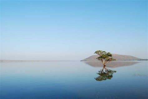 Pakhal Lake Warangal | Lake, Wildlife Sanctuary