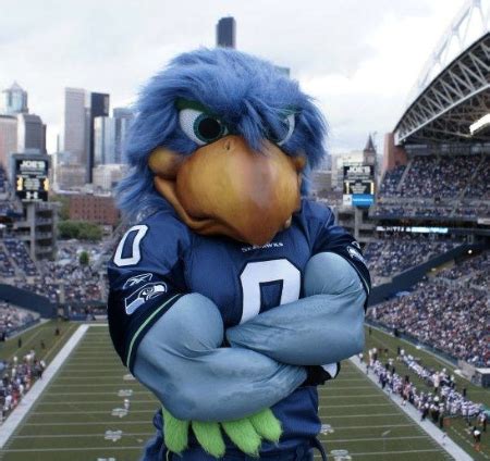 Seahawks mascot keeps flying despite Multiple Sclerosis