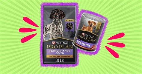 High Protein Dog Food: 4 Of The Best Options For Pets To Try - DodoWell ...