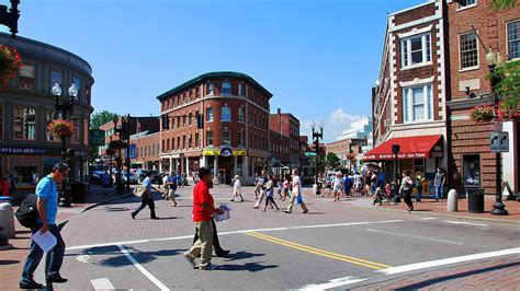 Harvard Square Neighborhood Guide: Best Things to Do