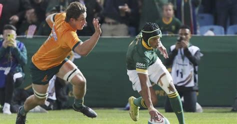 Kurt-Lee Arendse hat-trick powers Springboks past Wallabies in Pretoria : PlanetRugby