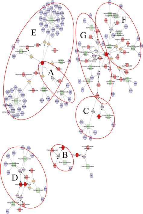 UPLC-Q-TOF/MS-Based Serum Metabolomics Reveals the Anti-Ischemic Stroke Mechanism of Nuciferine ...