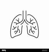 Oxygen Lungs Colouring Pages Sketch Coloring Page sketch template