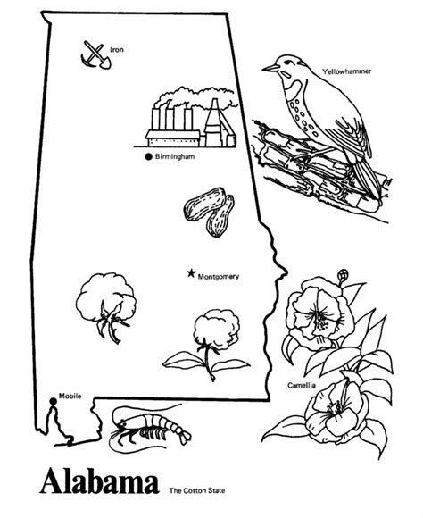 USA-Printables: State outline shape and demographic map - State of Alabama Coloring Pages