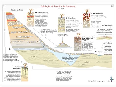 Cairanne Appellation, Cru of the Côtes du Rhône Leaning to the south of a hillside massif that ...