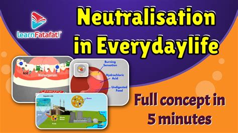 Class 7 Acids, Bases and Salts - Neutralisation in everyday life | LearnFatafat - YouTube