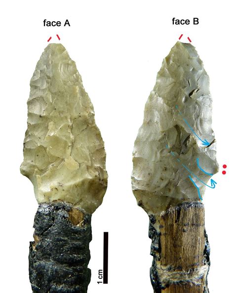 Final Days Of Ötzi The Iceman Revealed Through New Analysis Of His Tools