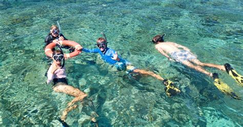 Cairns: Outer Reef Snorkelling Trip with Maximum 60 Guests - Cairns, Australia | GetYourGuide