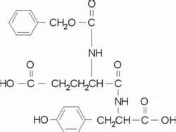 Pepsine Enzyme