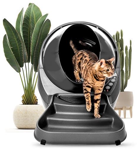 Automatic, Self-Cleaning Litter Box for Cats | Litter-Robot | Litter-Robot