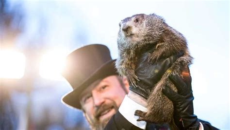 Punxsutawney Phil makes his 2019 Groundhog Day prediction