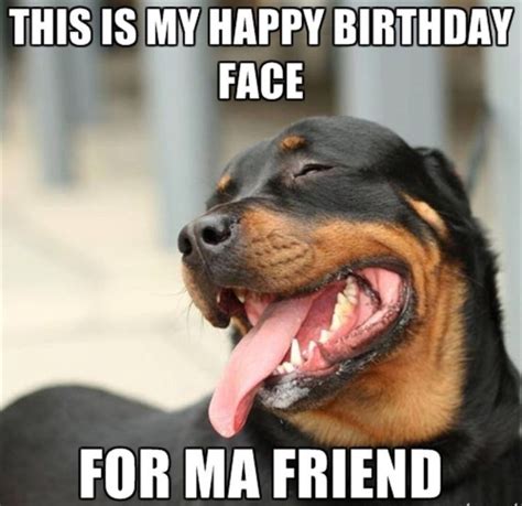 Happy Birthday Dog Meme