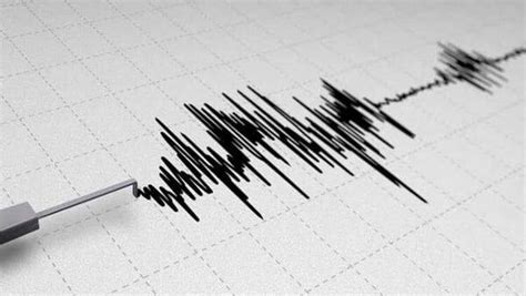 Earthquake of 5.0 magnitude hits South Africa’s Johannesburg; video ...