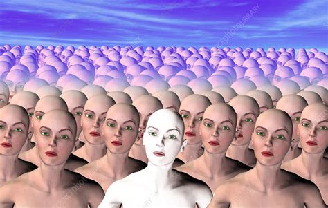 Human cloning - Stock Image - G340/0105 - Science Photo Library