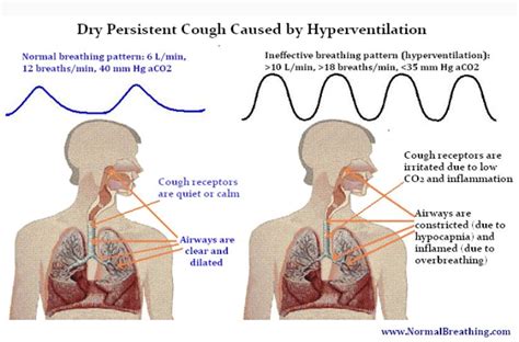 Pin on Respiratory