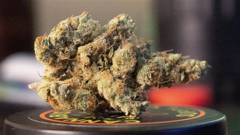 "GMO" - (Strain Review) - YouTube