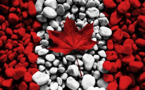 Canada Maple Leaf Wallpapers - Top Free Canada Maple Leaf Backgrounds - WallpaperAccess