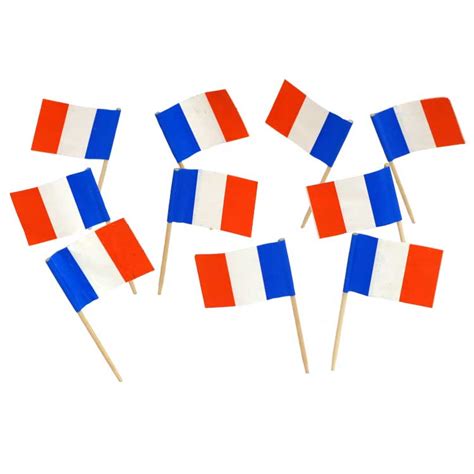 100 French Flag Toothpicks | France | Theme Party Decorations