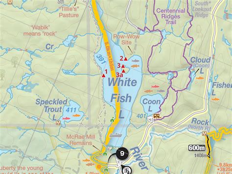 Whitefish Lake Campsite #3a in Algonquin Park | Campsite Report