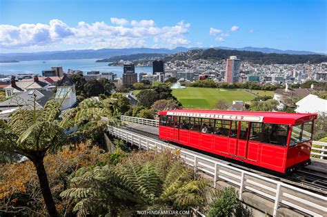 10 Fun Things to do in Wellington On Your First Visit