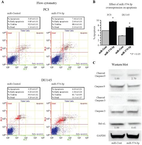 (A) Apoptosis assay using flow cytometry. Representative quadrant ...