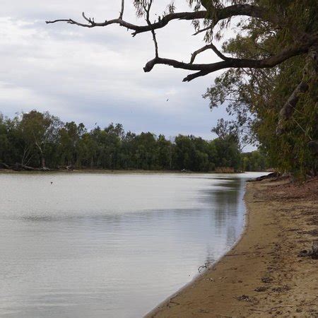 Goondiwindi Natural Heritage & Water Park: UPDATED 2021 All You Need to Know Before You Go (with ...