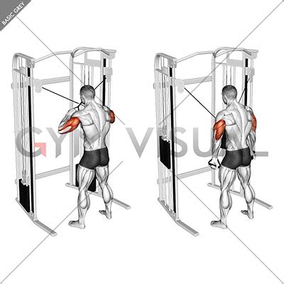 Cable Standing High Cross Triceps Extension