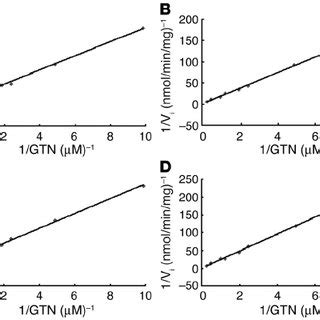 ALDH2 kinetic properties as a function of the genotype of fetal liver... | Download Table