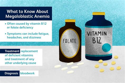 Megaloblastic Anemia: Symptoms, Causes, Treatment