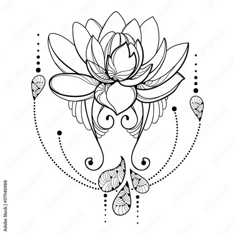 Lotus Flower Drawing Outline