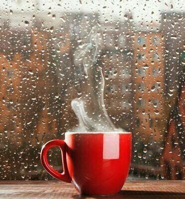 𝓜𝑒𝑔'𝑠 OldFarmHouse | Rain and coffee, Morning coffee photography ...