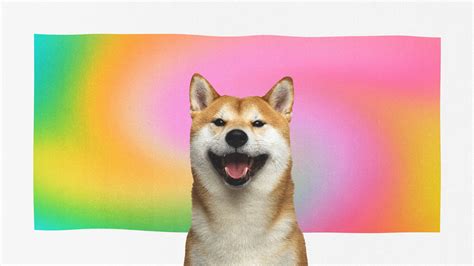 Shiba Face Meme