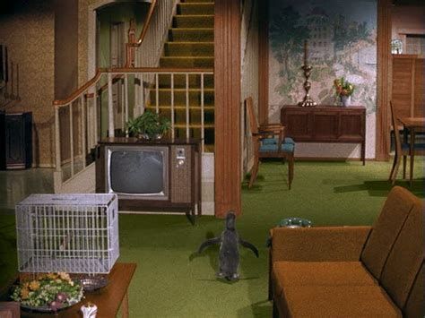 A "Bewitched" House: 1164 Morning Glory Circle | Tv show house, Spooky ...