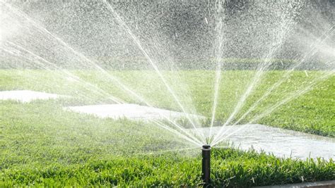 Best Lawn Sprinklers for a Lush and Healthy Yard - Sprinkler Review