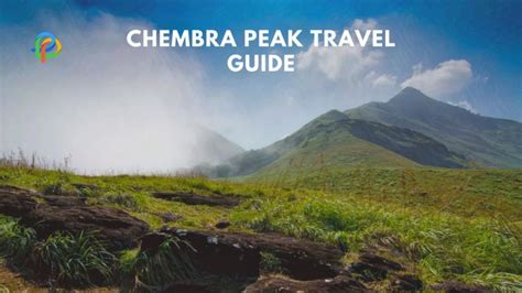 Chembra Peak: A Travel Guide To The Highest Peak In Wayanad