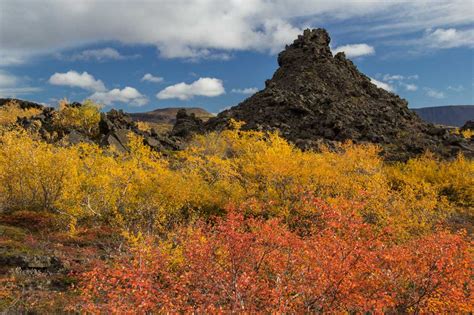 Autumn colors Iceland