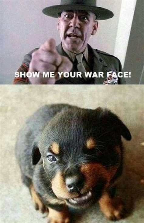 War face!!!! - Meme by Fuzzer01 :) Memedroid